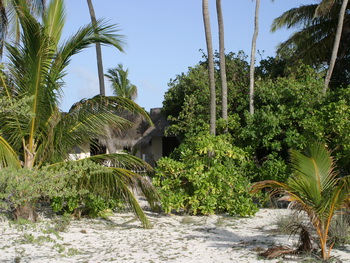 Maldives, Lhaviyani Atoll, Kuredu Island Resort